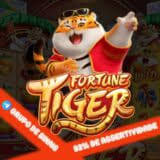 plataforma de jogo do tigre ícone